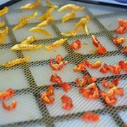 Kerstomaatjes-drogen