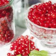Rode-bessen-inmaken