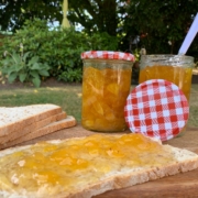 mango-ananas-jam