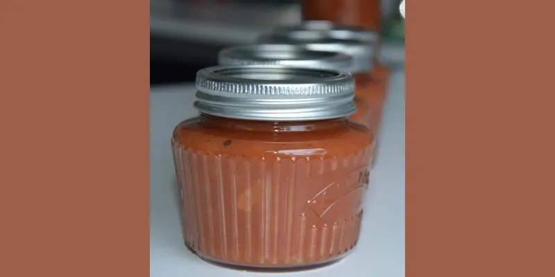 Appelketchup | WECKENonline.eu