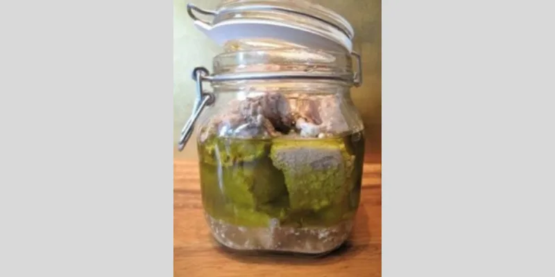 Tonijn op olijfolie | WECKENonline.eu